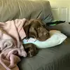 Jacob Semple - @jacob.semple - TikTok