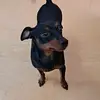 Jacob Seo - @user7676731949002 - TikTok