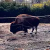 jacobsessions306 - @jacobsessions306 - TikTok