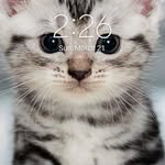 Jacob Setser - @jacob.setser518 - Instagram