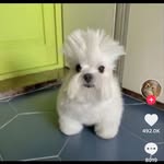 Jacob Shakles - @shaklesjacob - Instagram