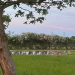 Fleur Wallbank - @jacobshallfarmstudios - Instagram