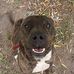 Jakob Shaffer - Facebook