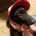 Jacob Sherer - Facebook