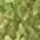 Jacob Shick - @user7344934988699 - TikTok