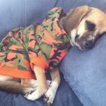 Jacob Shickles - @jacobshickles03 - Instagram