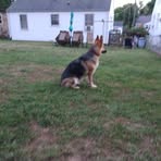 Jacob Shotwell - Facebook