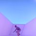 Jacob Shrader - Facebook