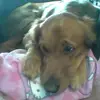 jacobshrader980 - @jacobshrader980 - TikTok