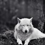 Jacob Sievertsen - Facebook