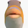 jacobsievert343 - @jacobsievert343 - TikTok