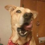 Jacob Sigmon - @neodark_1218 - Instagram