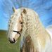 Jacob Silverstone - Facebook