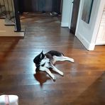 Jacob Simonson - Facebook