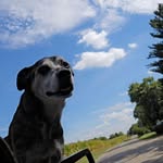 Jacob Simonton - @jacob.simonton.1 - Instagram