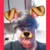 jacob-wazzzzz-hereeeee - @jacobsimpson17 - TikTok