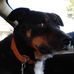 Jacob Sinclair - Facebook
