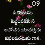 Siri Jacob - @siri.jacob - Instagram