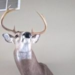 JACOBSNIPES#43 - @jacobsnipes43 - Instagram