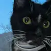 Jacob Sommers - @jacob.sommers - TikTok