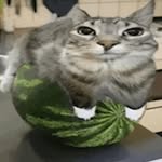 Jacob Sommers - @jacobsommers589 - Instagram