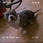 Jacob Soper - Facebook