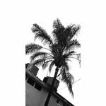 Juan Jacob Sotelo - @juanjacobsotelo - Instagram