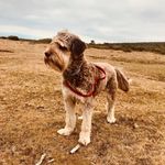 Jacob | Spain - @jacob_theadventurer - Instagram