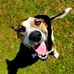 Jacob Speakman - Facebook