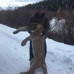 Jake Spillane - Facebook