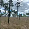 Jacob Spring - @jacob.spring6 - TikTok