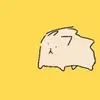 jacobs - @jacobsprinklebomb.com - TikTok