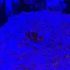 jaycob stage - @jaycob.654 - TikTok