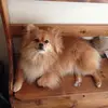 appleuser77847869 - @jakob.stainbrook - TikTok
