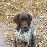 Jacob Stallings - @stallings33 - Instagram