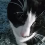 Jacob Stancil - @thatcoolguy179 - Instagram