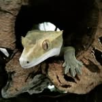 Jacob Stanfill - @stanfjac000 - Instagram