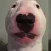 jacobstanfill915 - @jacobstanfill915 - TikTok