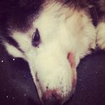 @jacob_steadman123 - Instagram