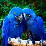 jacob stegall - @how.is.it.goin - Instagram