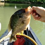 Jacob stegall - @fr0thy_fishing - Instagram