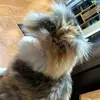 jacobsteinbachh - @jacobsteinbachh - TikTok