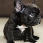 @_jacob_stern_ - Instagram