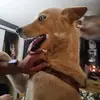 Jacob Stetson - @jacobstetson - TikTok