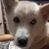 Jacob Stetson - @jacob.stetson1 - TikTok