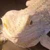 Jacob Stetson - @jacob.stetson65 - TikTok