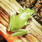 Jacob Stiles - @razortoothjs7 - Instagram