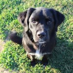Jacob Stivers - @jacob_stivers - Instagram