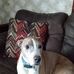 Jacob St John - Facebook