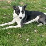 Jacobstockdill - @jacobstockdill9 - Instagram